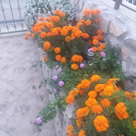 La Vita Appartement Šibenik