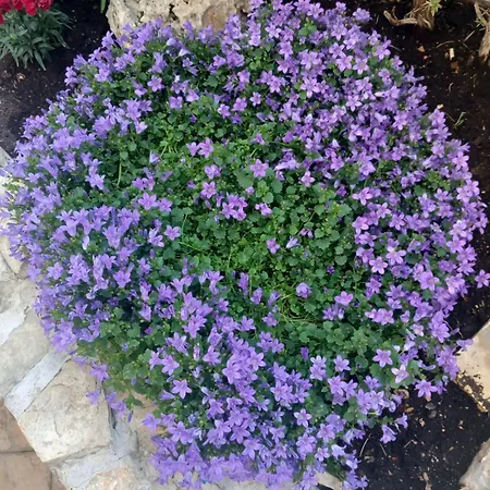 Διαμέρισμα La Vita