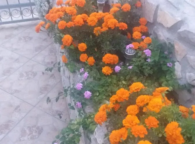 La Vita Διαμέρισμα Σίμπενικ