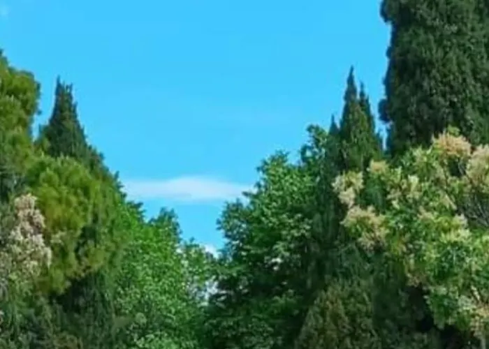 Διαμέρισμα La Vita *